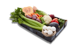 Vegetable ONLY box