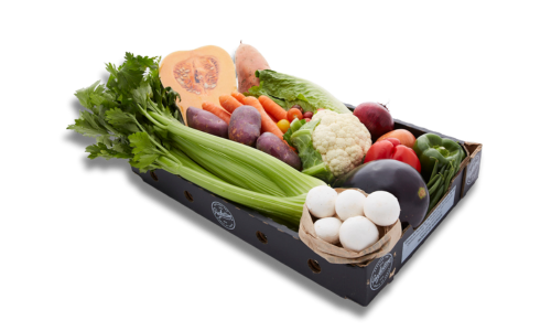 Vegetable ONLY box